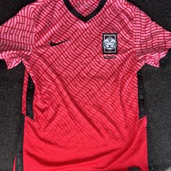 🔥 South Korea Soccer Jersey Nike Mens Medium Away 2020-2021 FLAW — Adult Medium (Rare Pink/Red) ⚽️