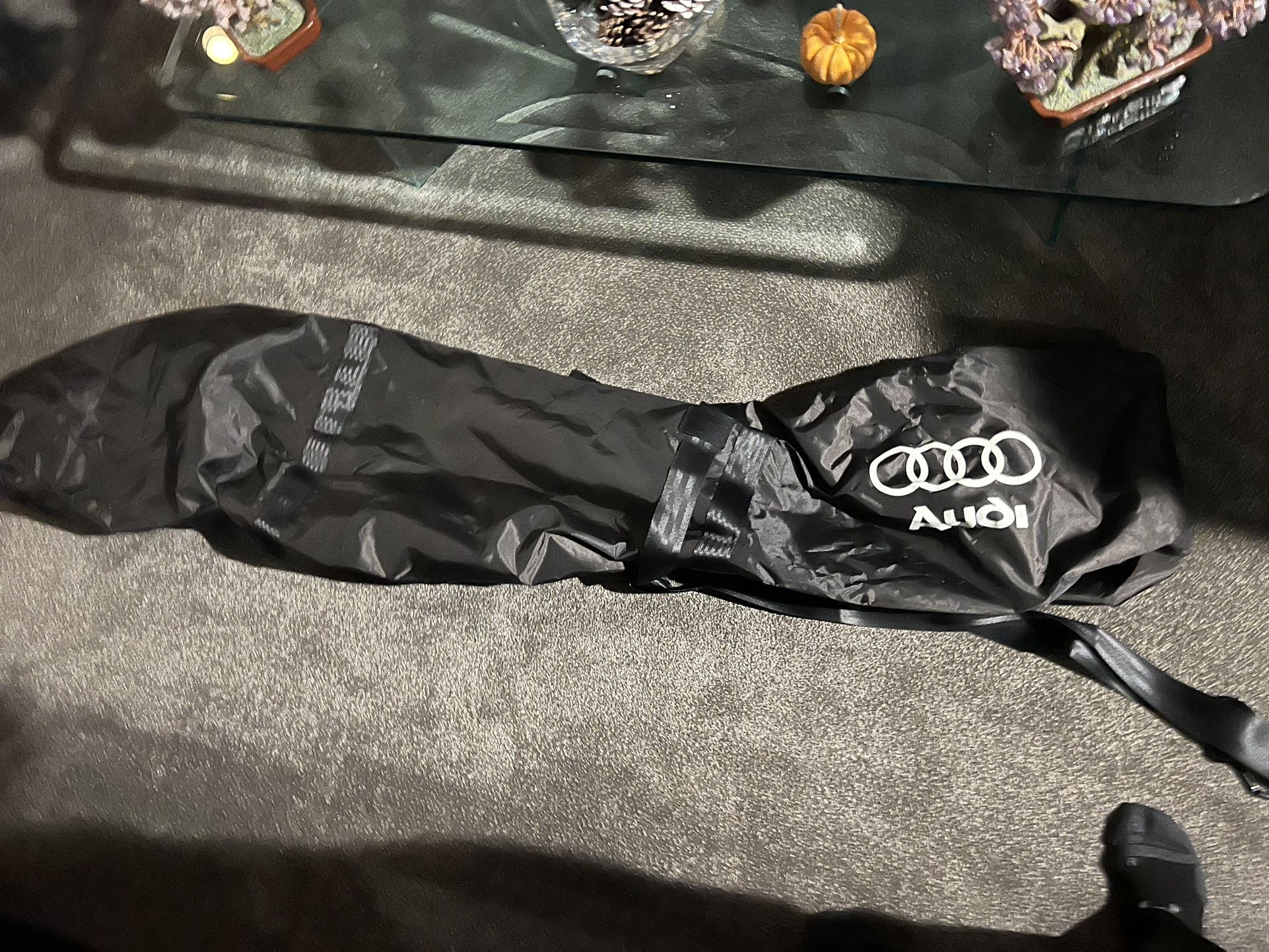 Audi Ski Bag