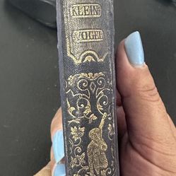 Antique Book Ida Kleinvogel