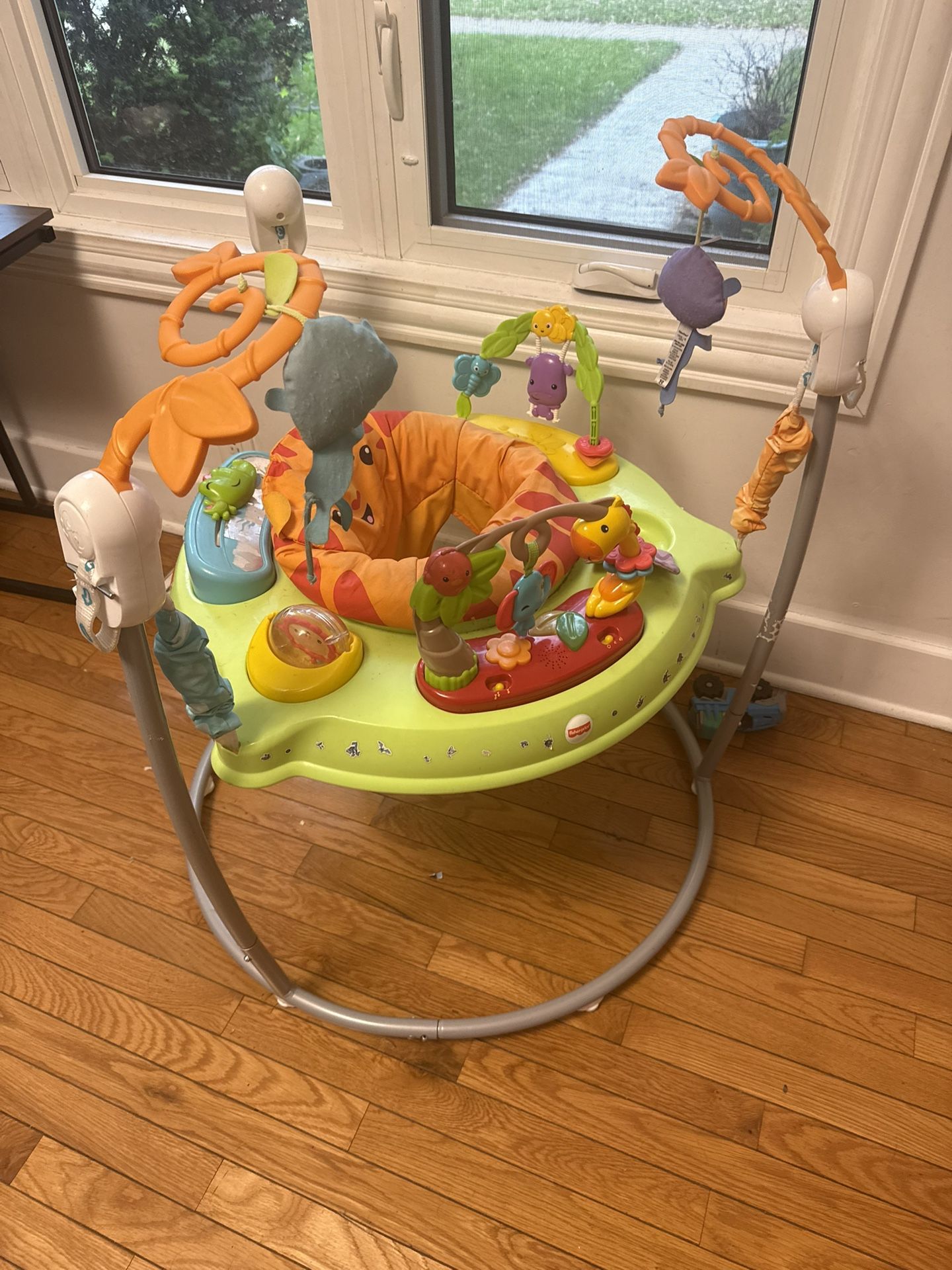 Baby Bouncer