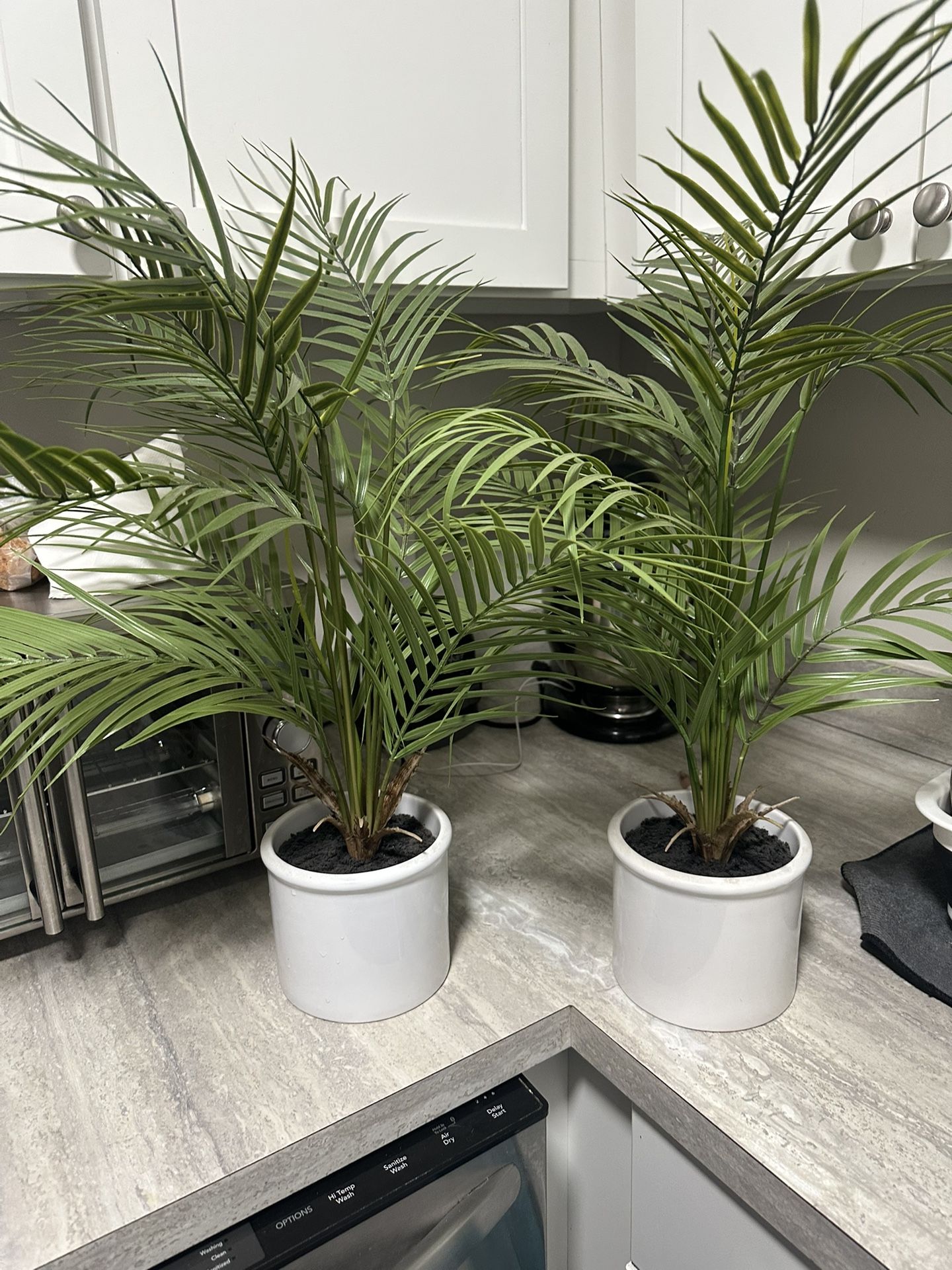 Fake Indoor Plants