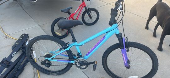 Nishiki Kids Mountain Bike