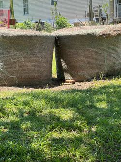 Hay