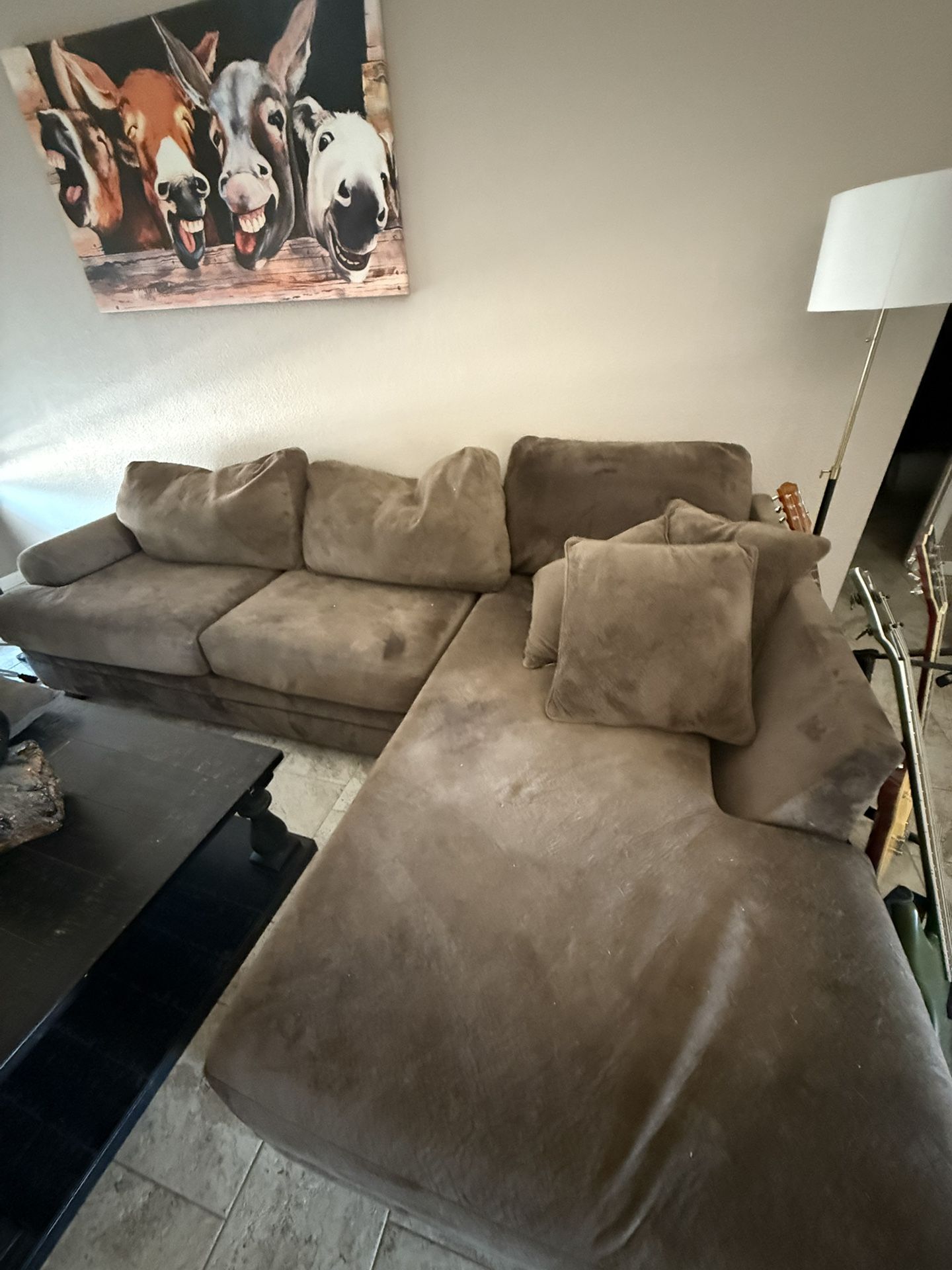 Free sectional Couch