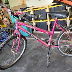 Glacier Point Bike Pink