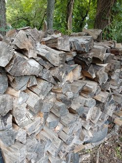 Seasoned Firewood