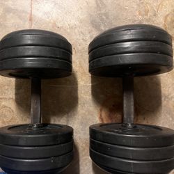 50 Pounds Dumbbells 