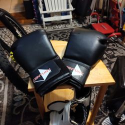 Century Boxing Gloves.