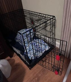 Kong Dog Crate