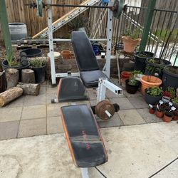 Weight Bench With Incline With Weights 