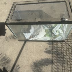 Reptile Tank