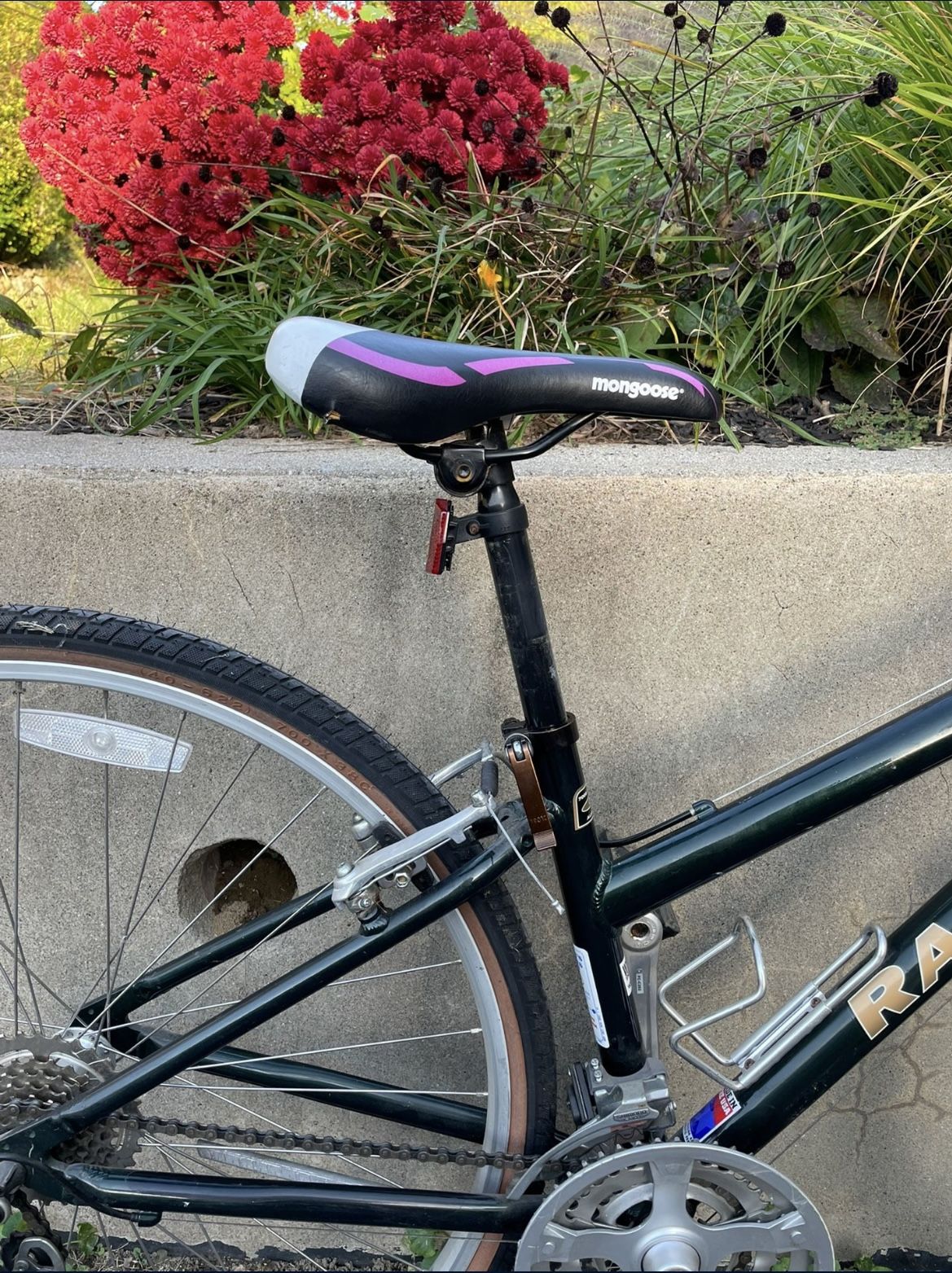 specialized pro sl bib shorts