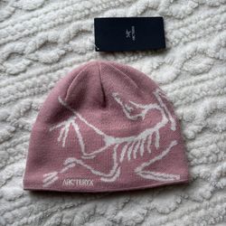 Arcteryx beanie
