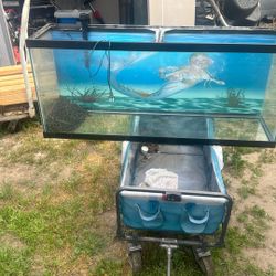 55gallon Tank For Sale