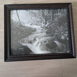 🖼️ Dark Wood Framed Black & White Nature Wall Art – 13” x 16”