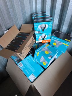 Light bulbs lot