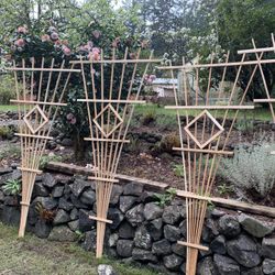 Garden Trellis