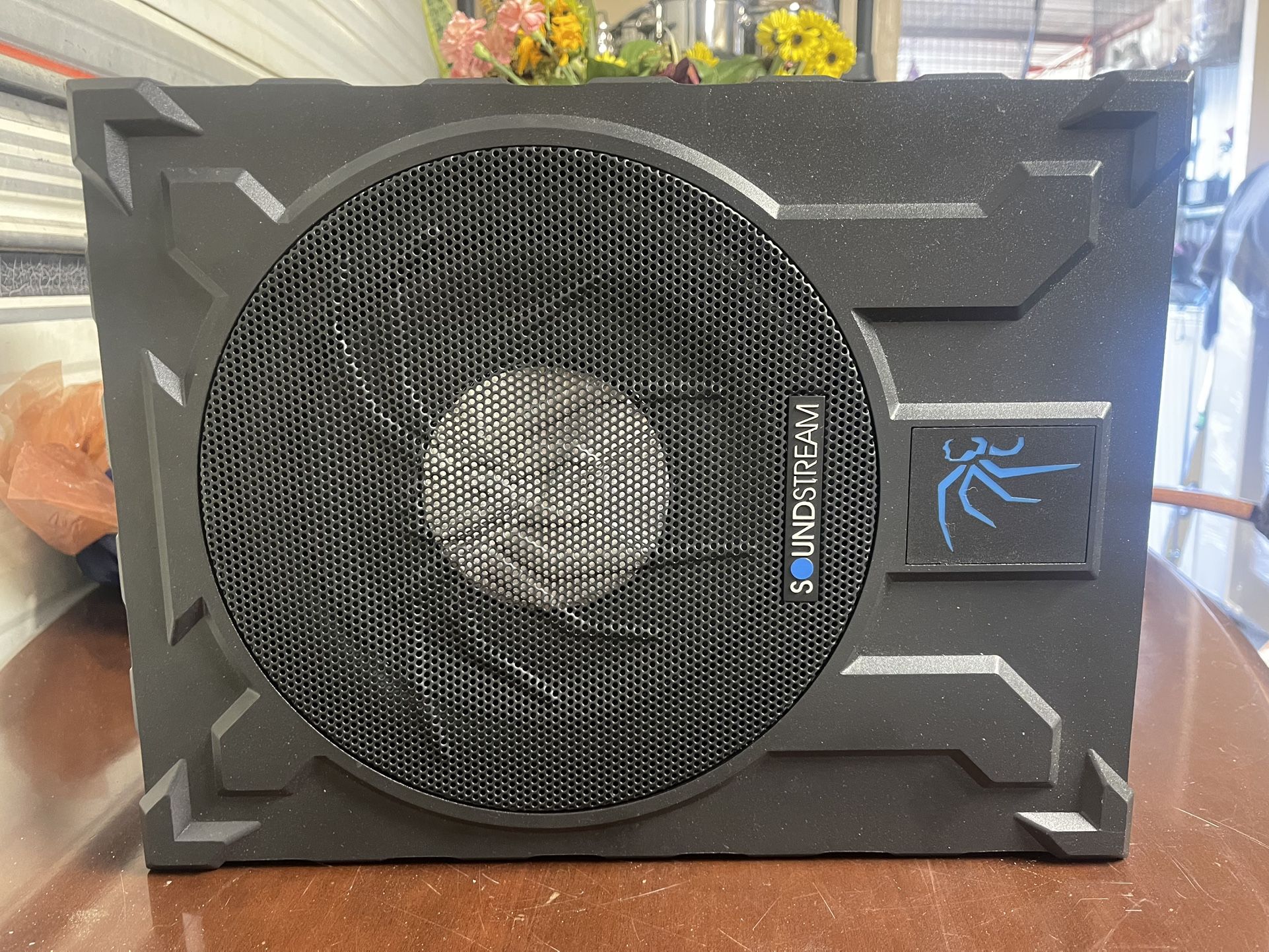 Under Seat Subwoofer With Built In Amp