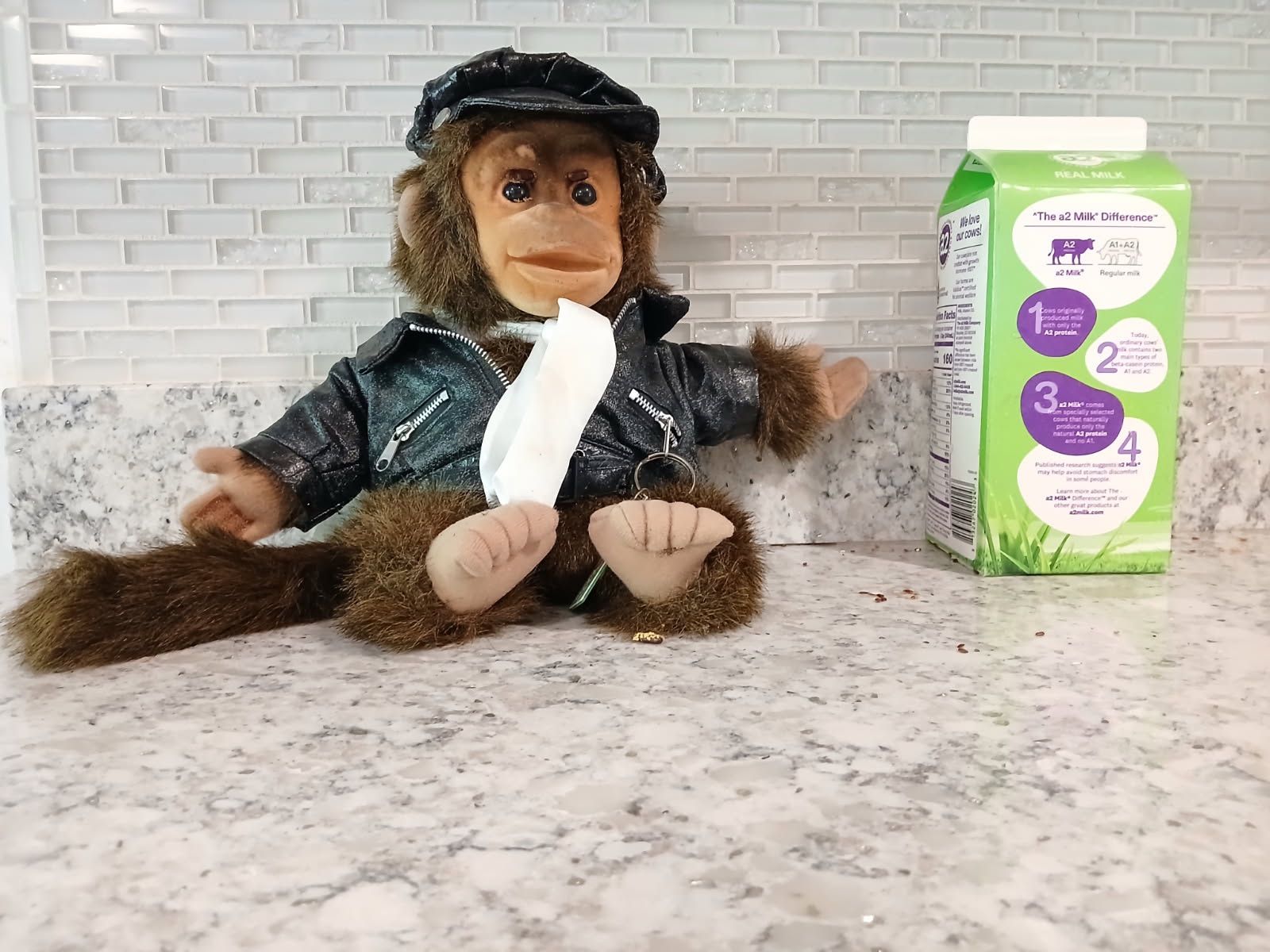 Motorcycle Monkey With Tail
