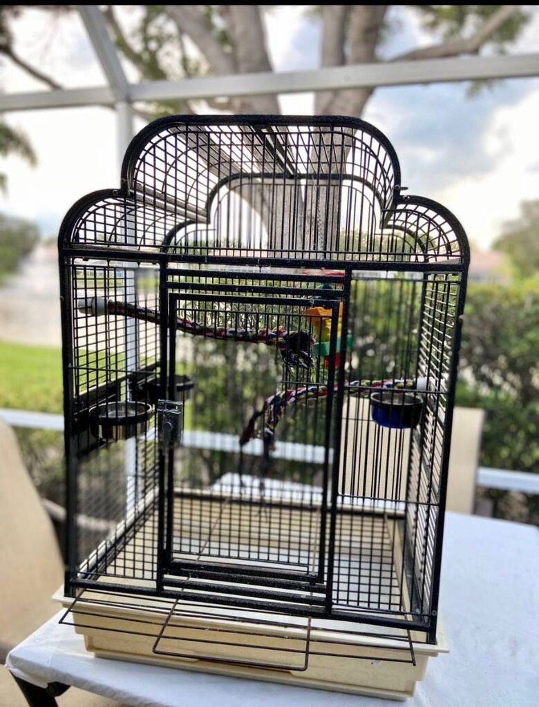 Cage For Bird 