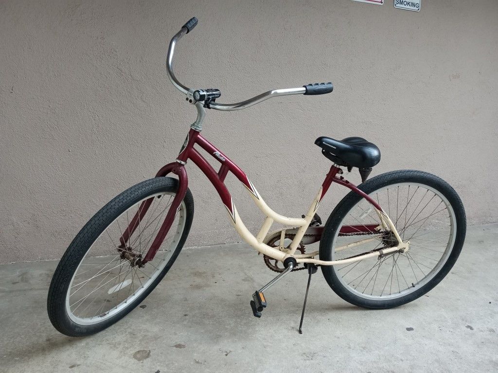 Schwinn Bike