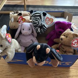 Beanie Babies