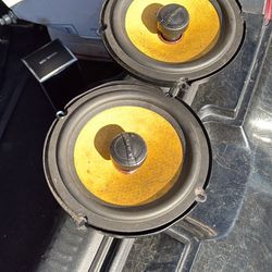 JL Audio Speakers