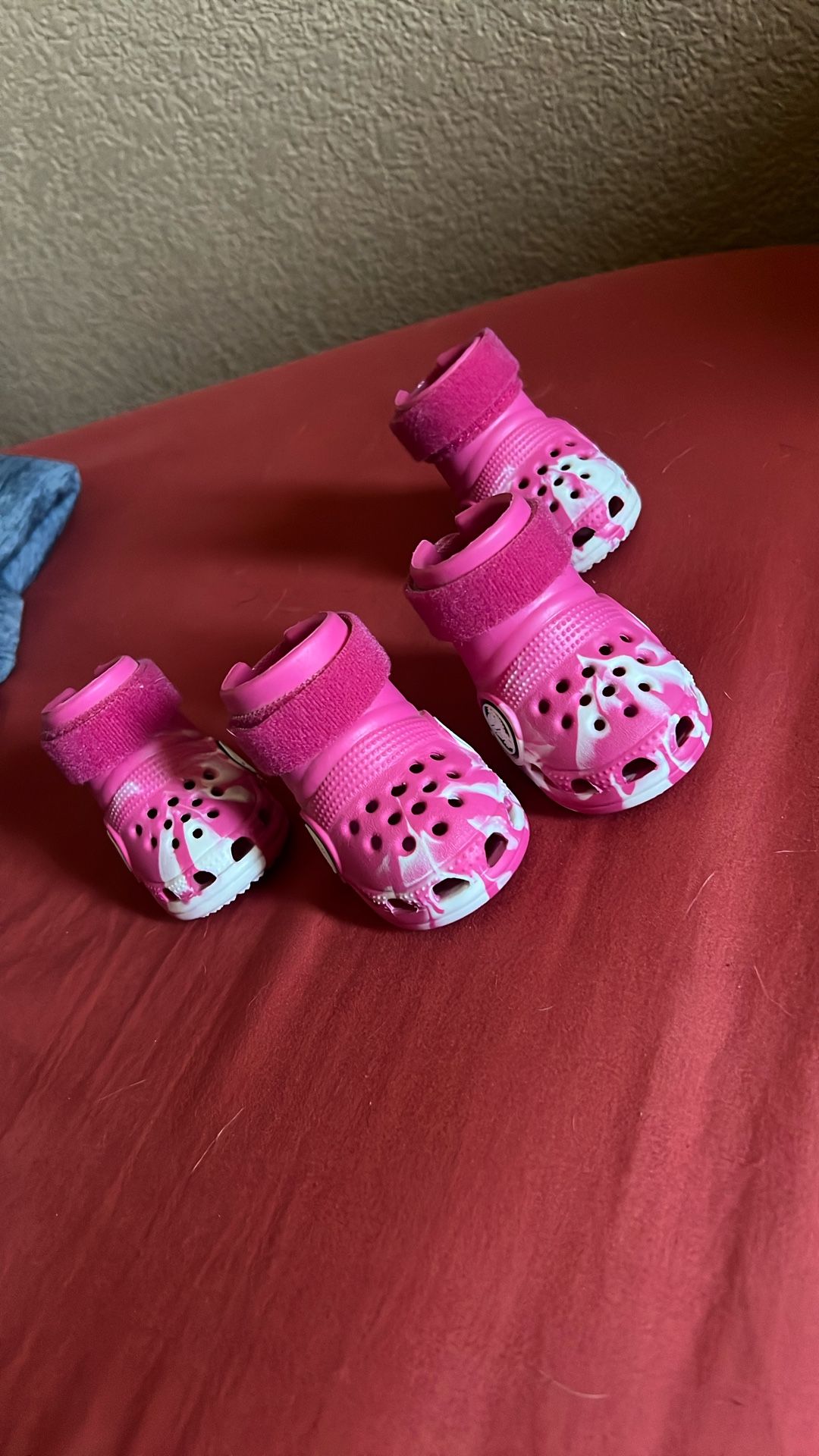 Doggo crocs