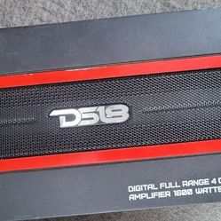 DS18 Amplifier 