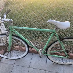 Bicicleta