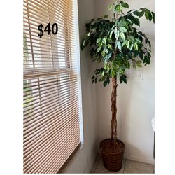 Artificial Plants