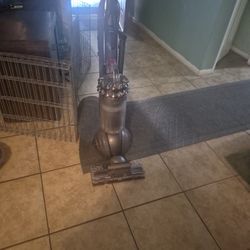 Dyson  Cinetic big ball Animal / Allergy 