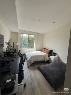 Moving Sale – Bed, Desk, Table, Lamps