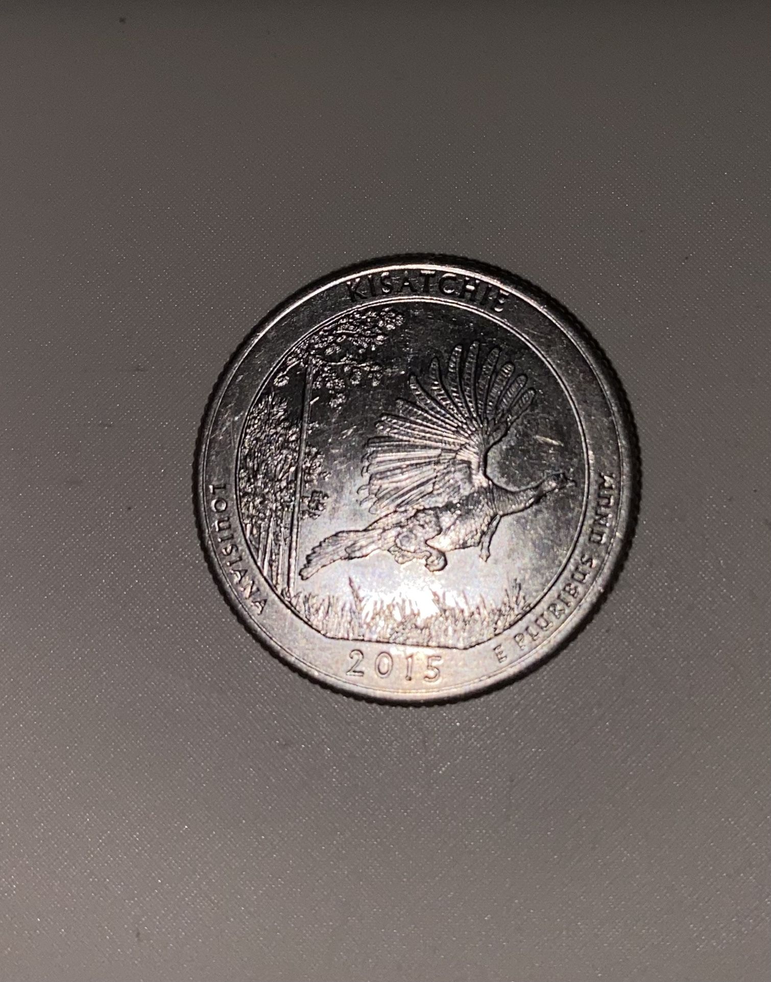 2015 Louisiana Quarter