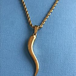 Men’s Gold on Stainless Steel Italian Horn Pendant on Rope Chain