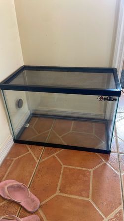 Glass Reptile Terrarium with Mesh Lid