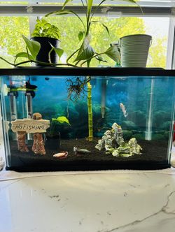 Fish Tank Full Set Up. 10 Gallons. 