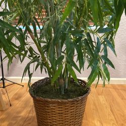 Indoor Artificial Plant - Green Bamboo 