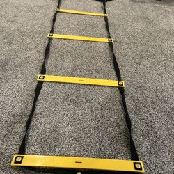 ABC Ladder Company workout/agility ladder