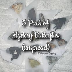 5 Pack Of UNSPREAD Butterflies 