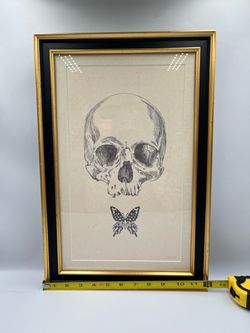 "Butterfly Skull"  Frame 12 x 18