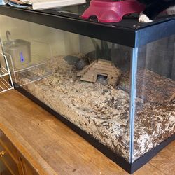 Snake Tank. W/ Snake . 