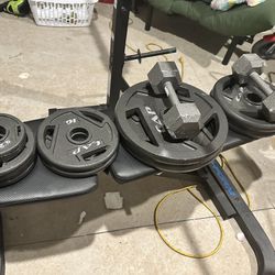 Pro Form Weight Bench 