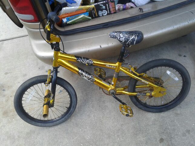 Avigo ignite gold sales bmx bike