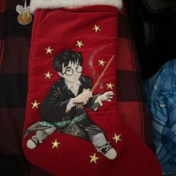 Harry Potter Stocking Brand New 