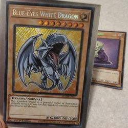 Blue Eyes Battles Of Legends!