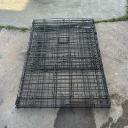 Pop Up Dog Crate 