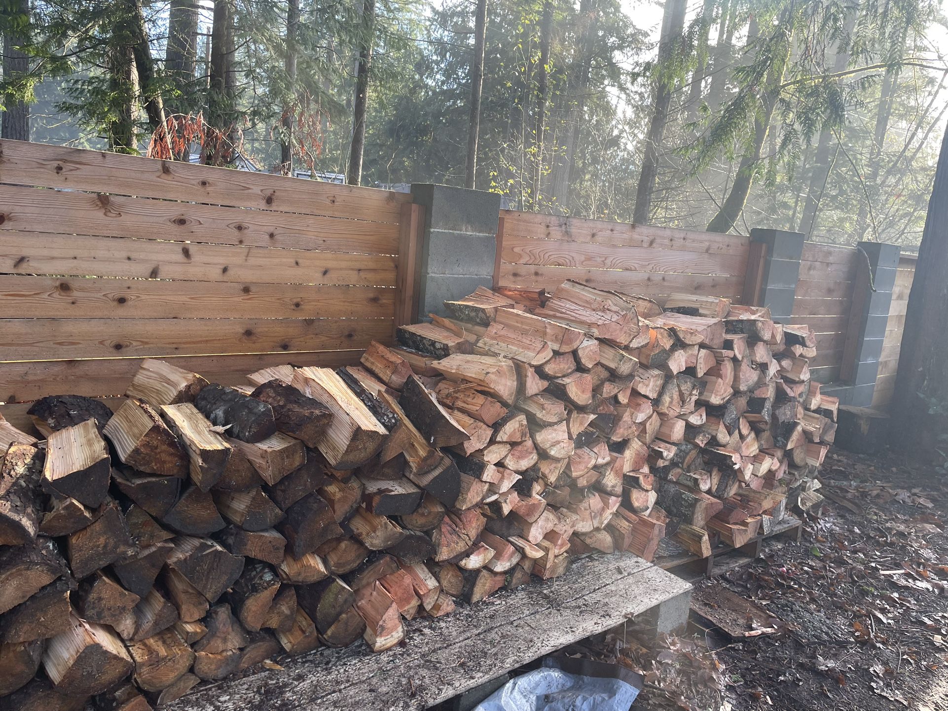 🔥 Premium Fresh-Cut & Split Firewood — Naturally Perfect for Seasoning! 🔥 