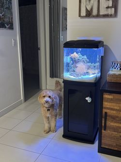 Coralife LED BioCube 16 Aquarium