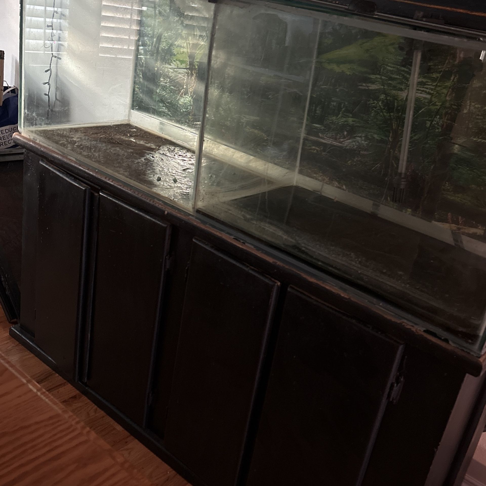 XXL Fish Tank with Stand